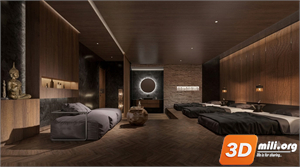 Spa Skp Files 